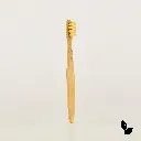 tooth brush.webp